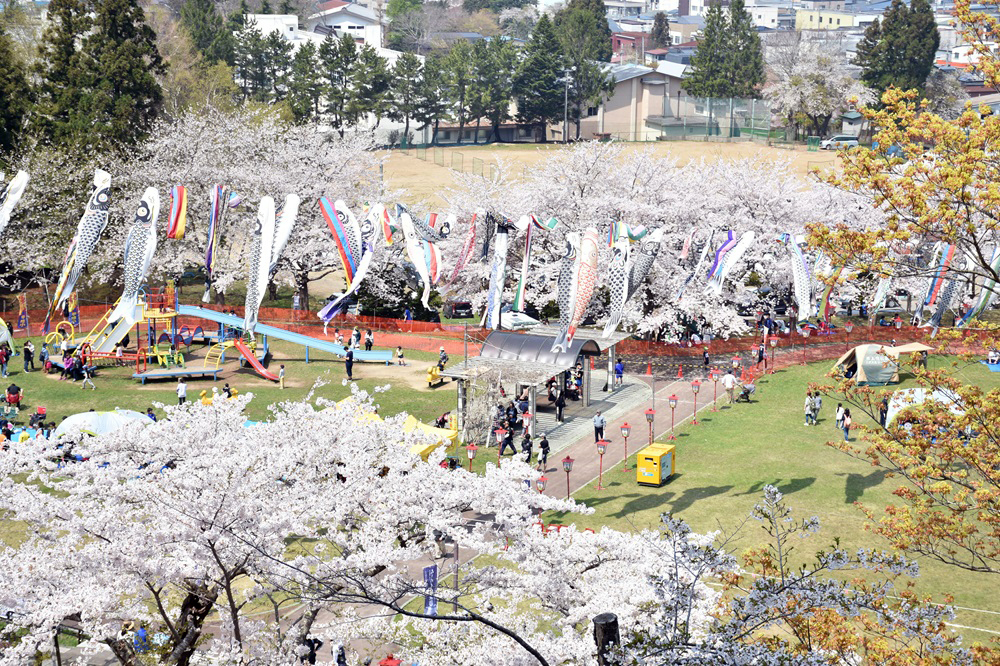 野辺地町：写真：のへじ春まつり