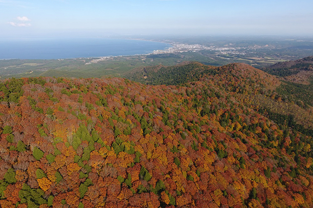 地域紹介：野辺地町