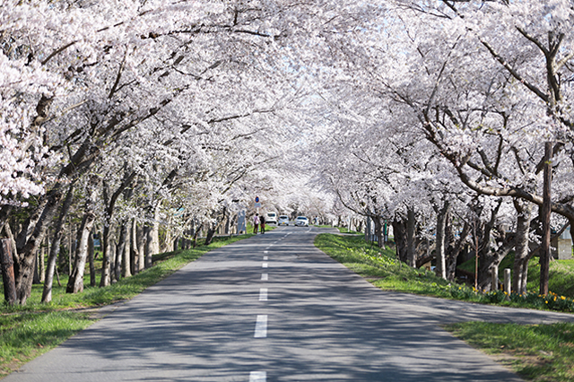 地域紹介：東北町