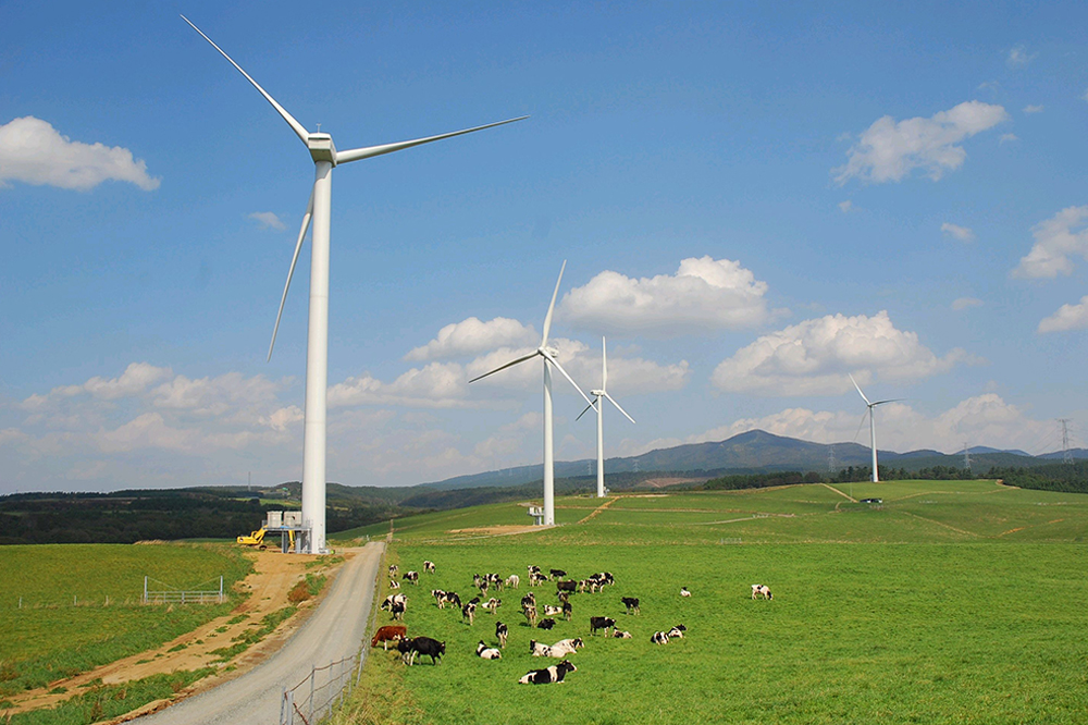 六ケ所村：写真：風車と牧場