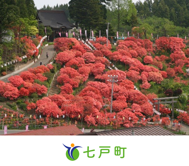 七戸町トップ－天王神社のつつじ