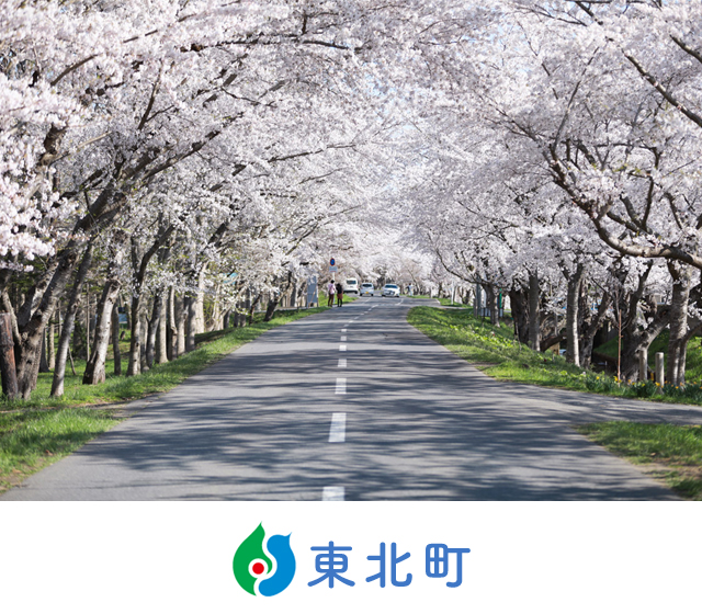 東北町トップ－桜並木「千本桜」