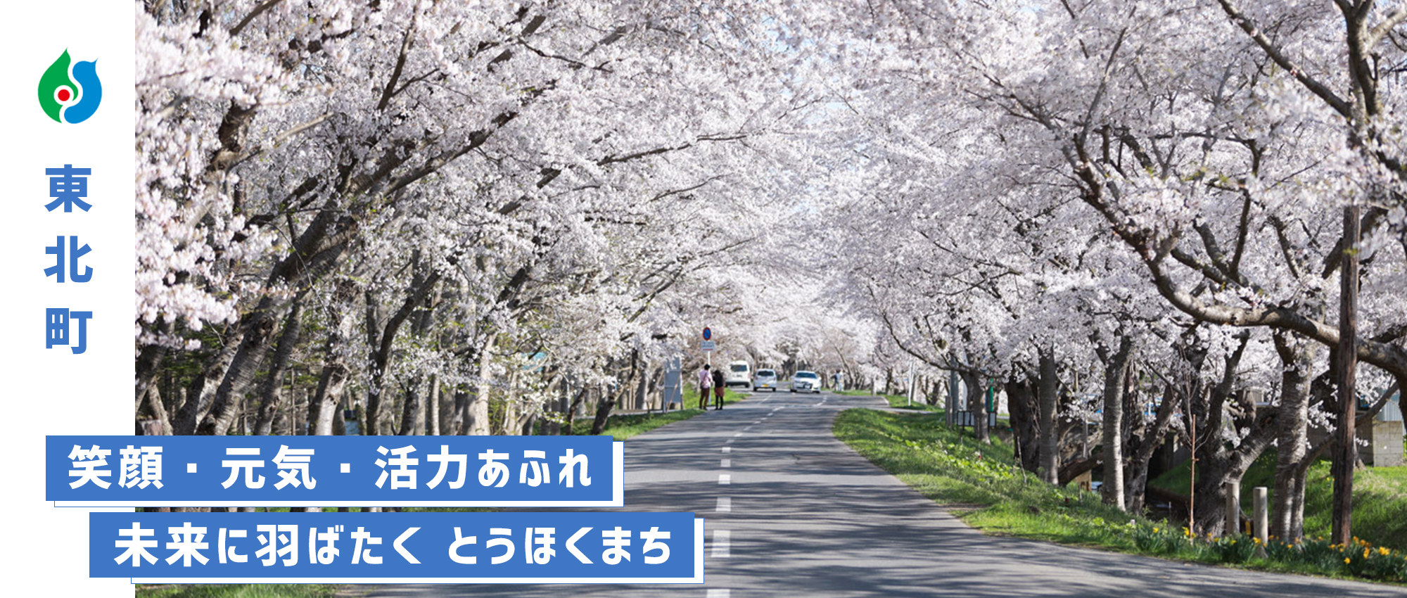 東北町トップ－桜並木「千本桜」